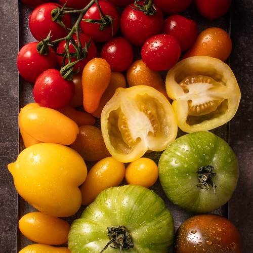 Photo #9802272