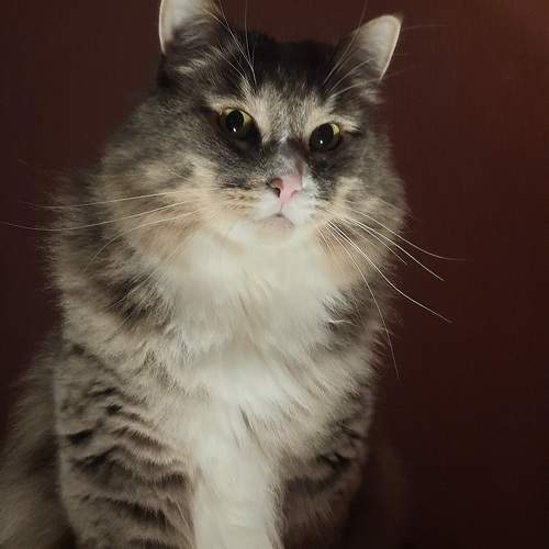 Photo #9802290