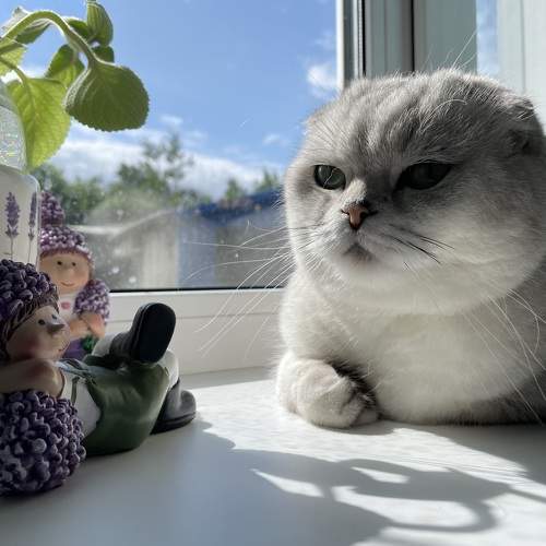Photo #9802473