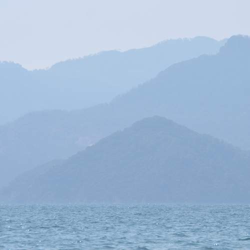 Photo #9802568