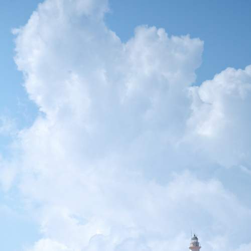 Photo #9802569