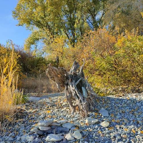 Photo #9802602