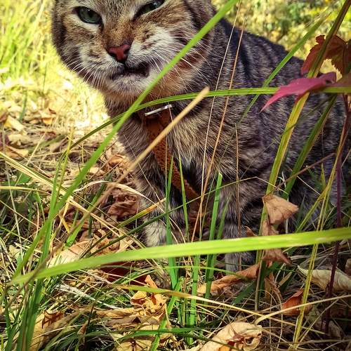 Photo #9802704