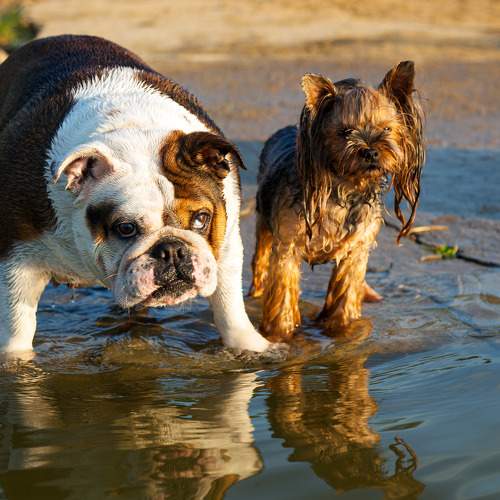 Photo #9802831