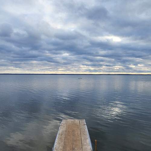Photo #9802891