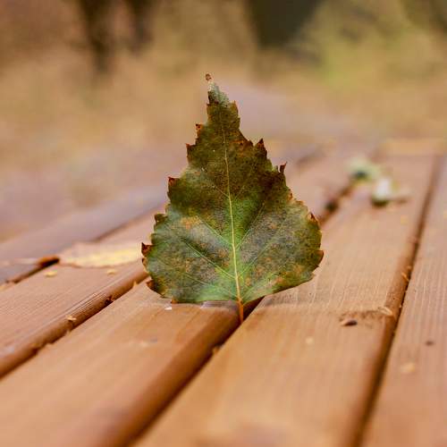 Photo #9802919