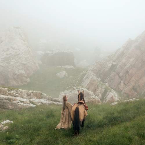 Photo #9803123