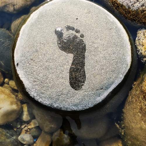 Photo #9803152