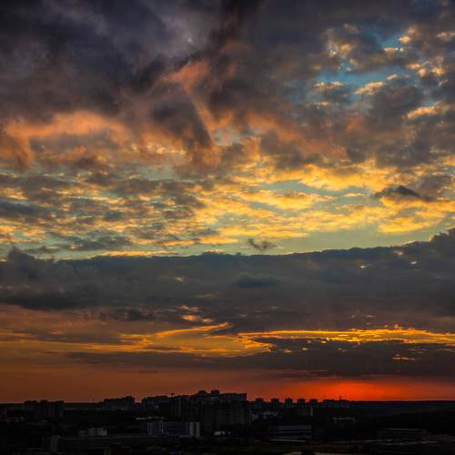 Photo #9803784