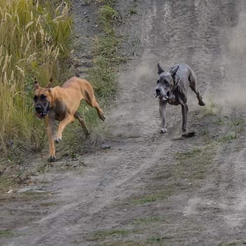 Photo #9803867