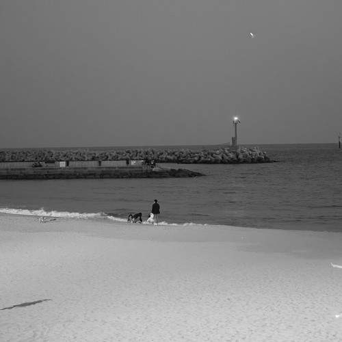 Photo #9804429