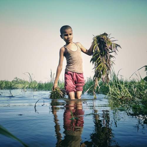 Photo #9804464