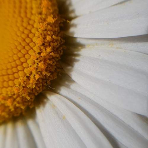 Photo #9804550