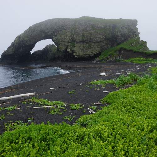 Photo #9804648