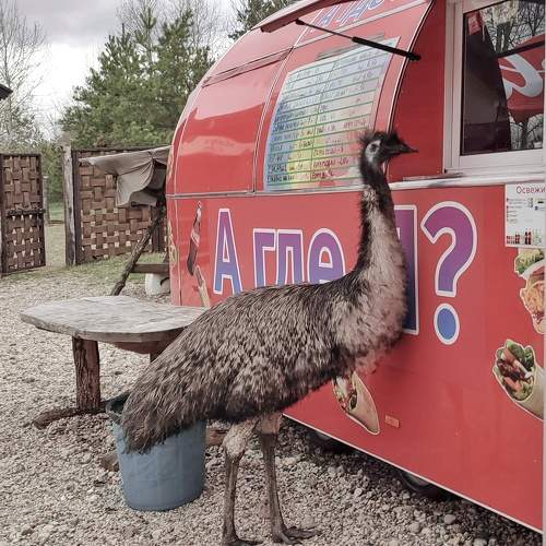 Photo #9805040