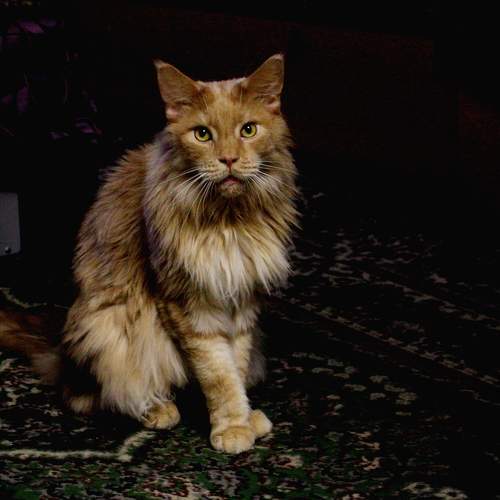 Photo #9805159