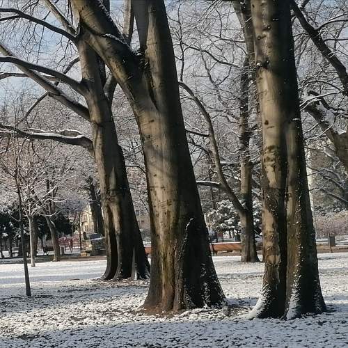 Photo #9805376