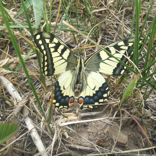 Photo #9805469