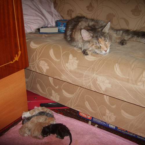 Photo #9805577