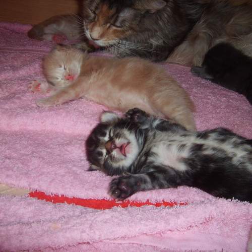 Photo #9805610