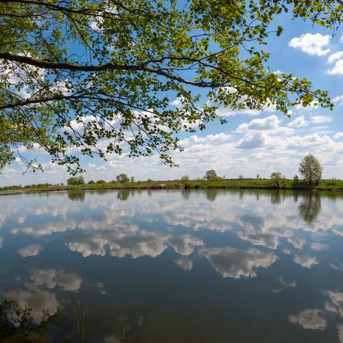 Photo #9805771