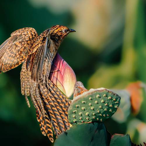 Photo #9805964