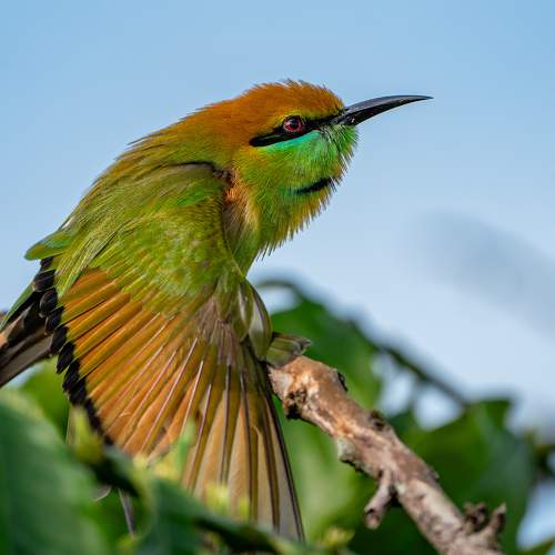 Photo #9805975
