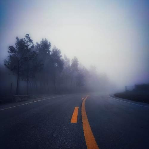 Photo #9806236
