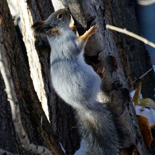 Photo #9806286