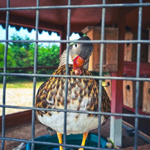 Photo #9806330