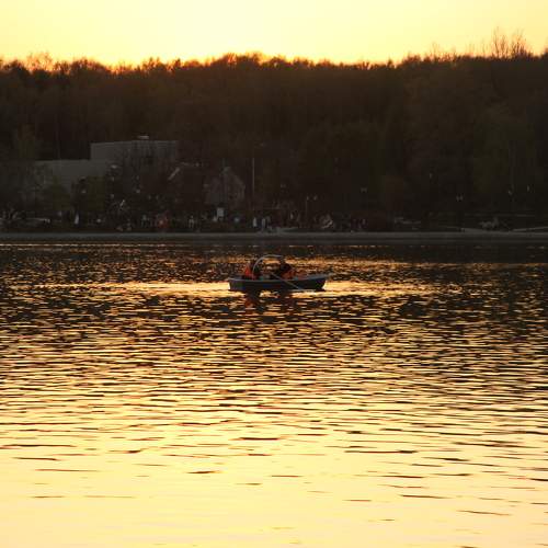 Photo #9806382