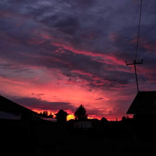 Photo #9806402
