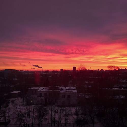 Photo #9806405