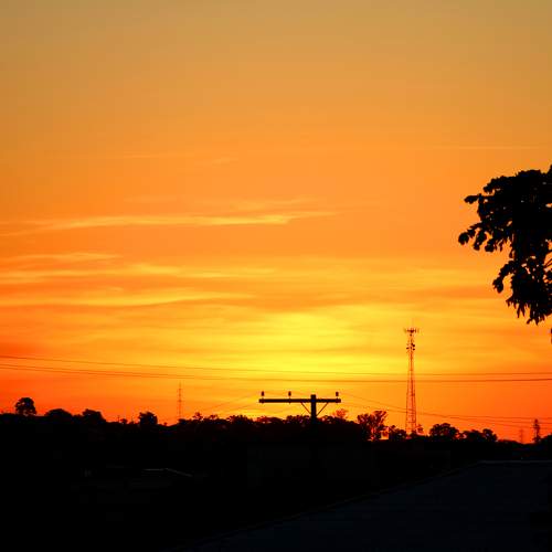 Photo #9806642