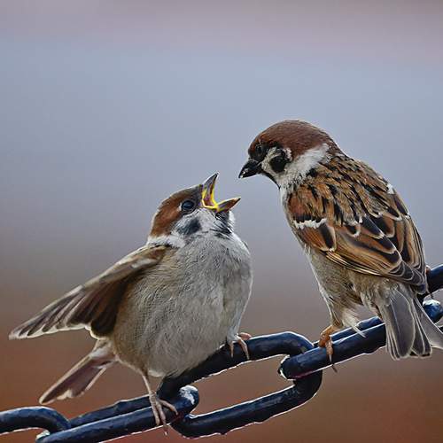 Photo #9806888