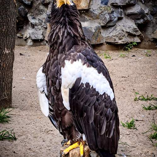 Photo #9807023