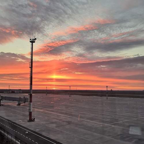 Photo #9807041