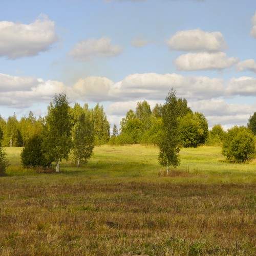 Photo #9807160