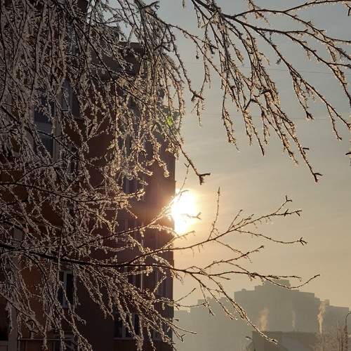 Январское утро