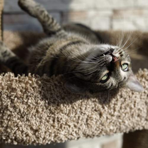 Photo #9807580