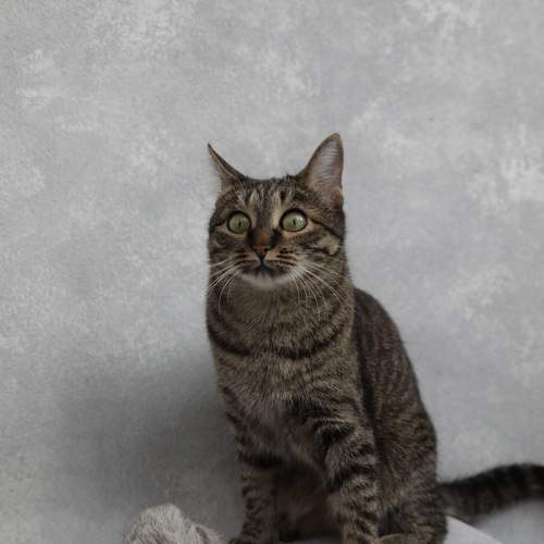 Photo #9807581