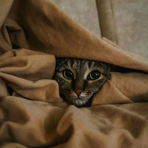 Photo #9807607