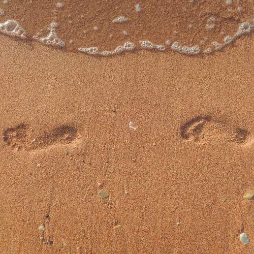 Photo #9807774