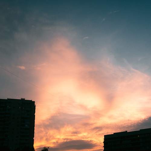 Photo #9807885