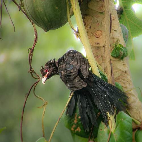 Photo #9808005