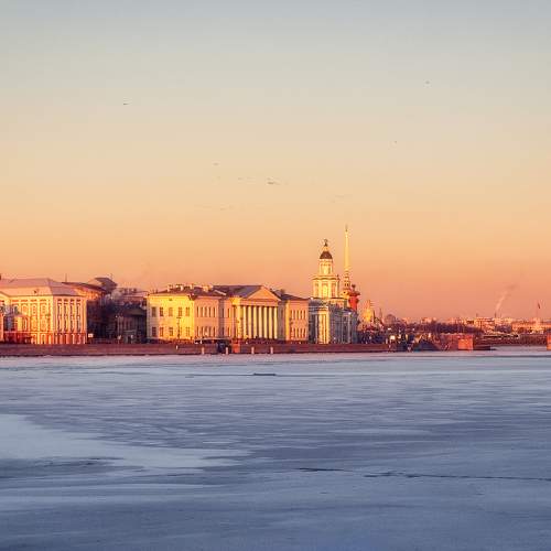 Photo #9808150