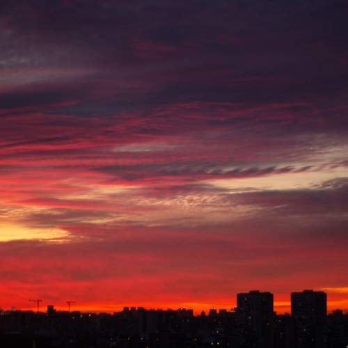 Photo #9808161