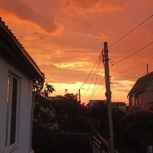 Photo #9808208