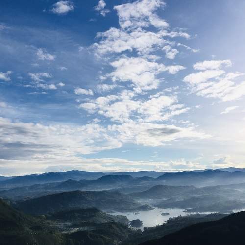 Photo #9808209