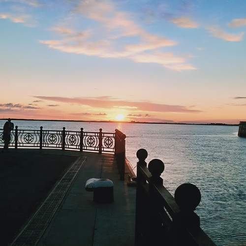 Photo #9808665